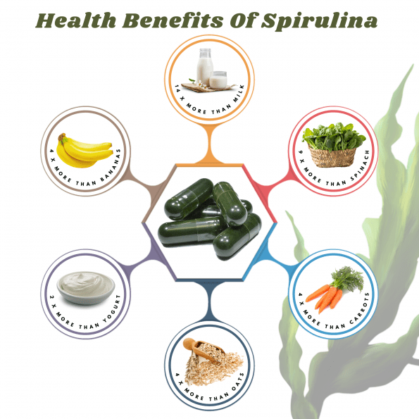 Nutrient-dense spirulina superfood for everyday use